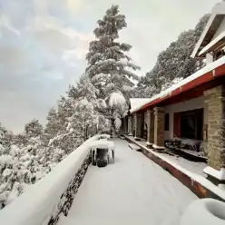 Snow 1 Mary Budden Estate Binsar Experiences