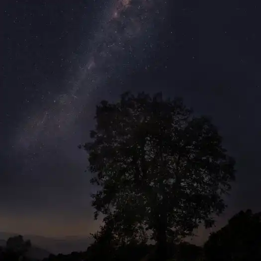 The Milky Way Dinner Mary Budden Estate Binsar Experiences