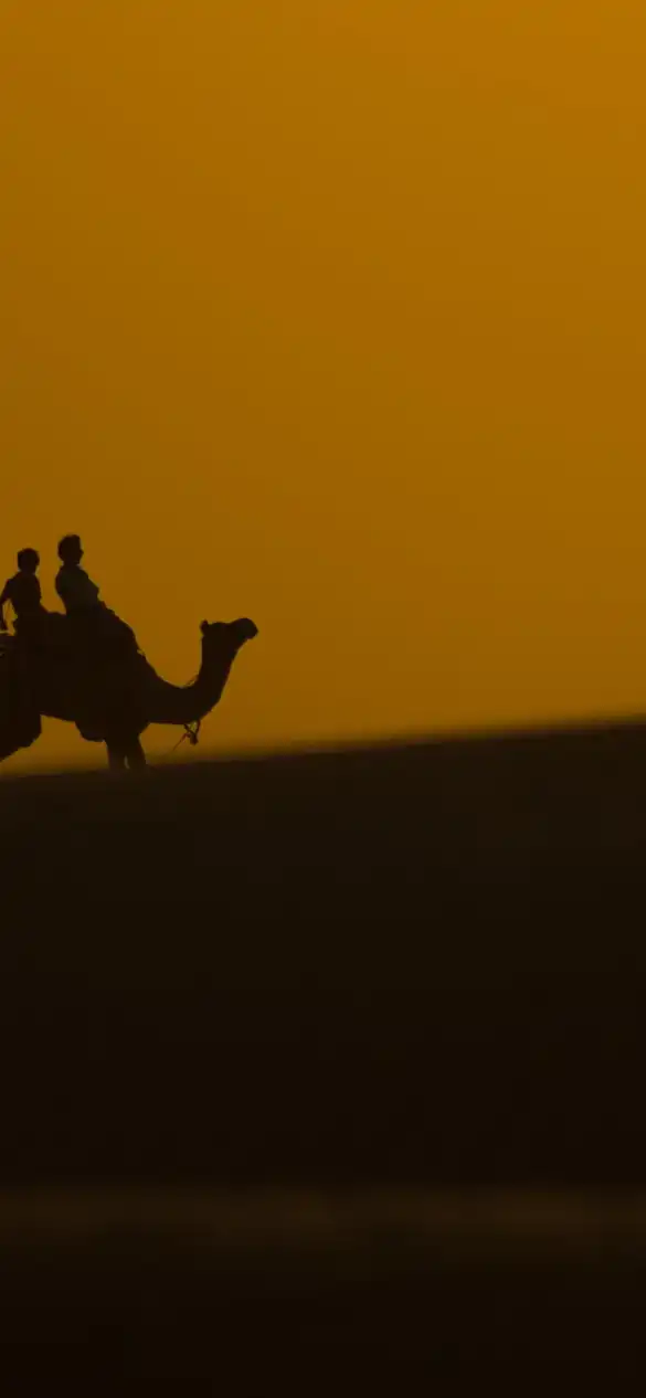 Suryagarh Jaislamer In Jaislamer 15