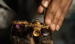 Suryagarh Jaislamer Crafts Of Jaislamer 3
