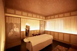 Narendra Bhawan Experiences Wellness Clinic The Spa 16