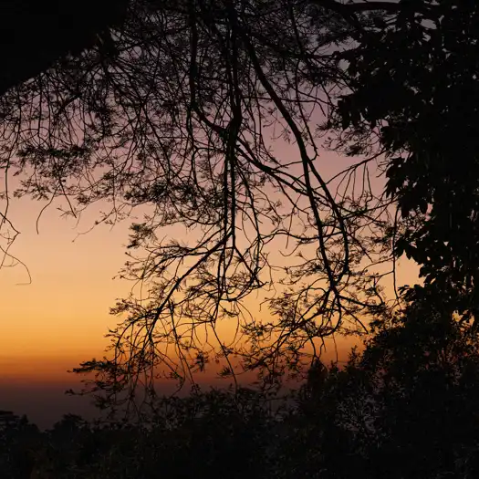 MBE SUNSET Mary Budden Estate Binsar Experiences