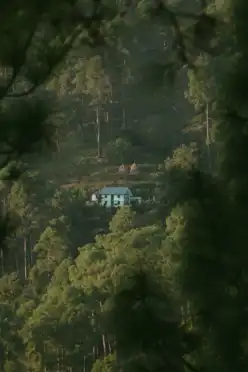 Hamlet In The Hills Mary Budden Estate Binsar Experiences