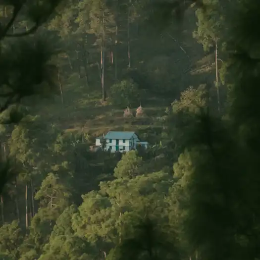 Hamlet In The Hills Mary Budden Estate Binsar Experiences